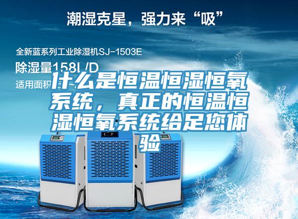 什么是恒溫恒濕恒氧系統(tǒng)，真正的恒溫恒濕恒氧系統(tǒng)給足您體驗