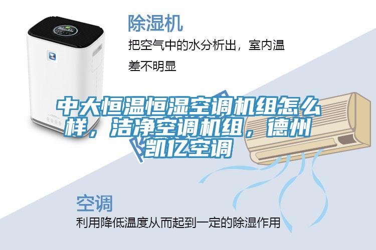中大恒溫恒濕空調(diào)機(jī)組怎么樣，潔凈空調(diào)機(jī)組，德州凱億空調(diào)
