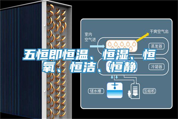 五恒即恒溫、恒濕、恒氧、恒潔、恒靜