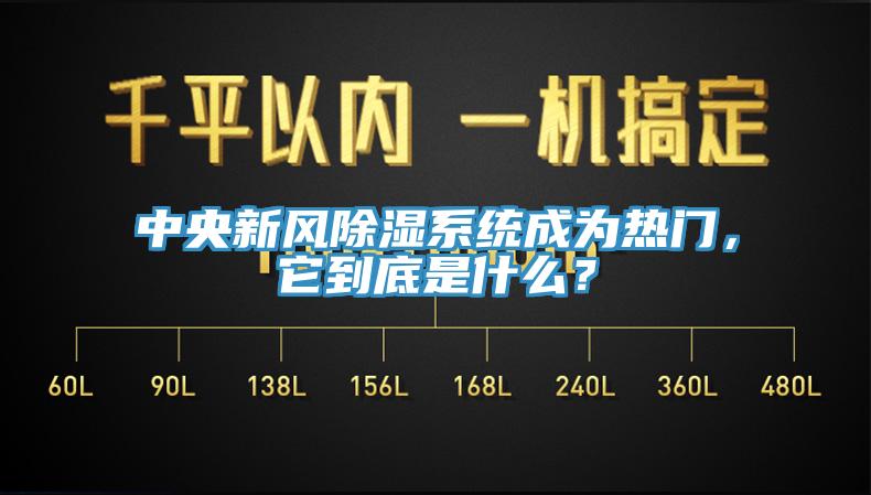 中央新風(fēng)除濕系統(tǒng)成為熱門，它到底是什么？