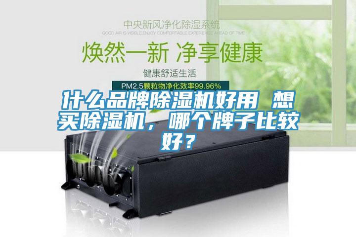 什么品牌除濕機(jī)好用 想買除濕機(jī)，哪個(gè)牌子比較好？