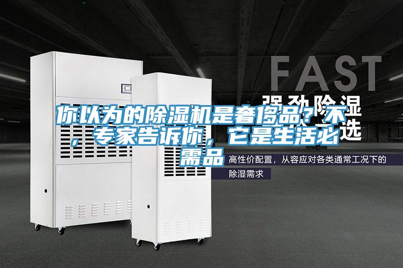 你以為的除濕機是奢侈品？不，專家告訴你，它是生活必需品