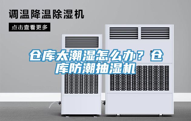 倉庫太潮濕怎么辦？倉庫防潮抽濕機