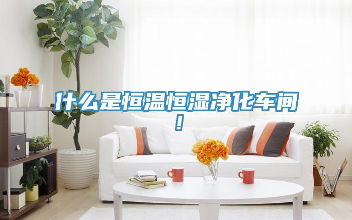 什么是恒溫恒濕凈化車間！
