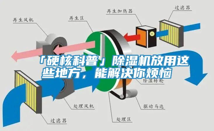 「硬核科普」除濕機(jī)放用這些地方，能解決你煩惱