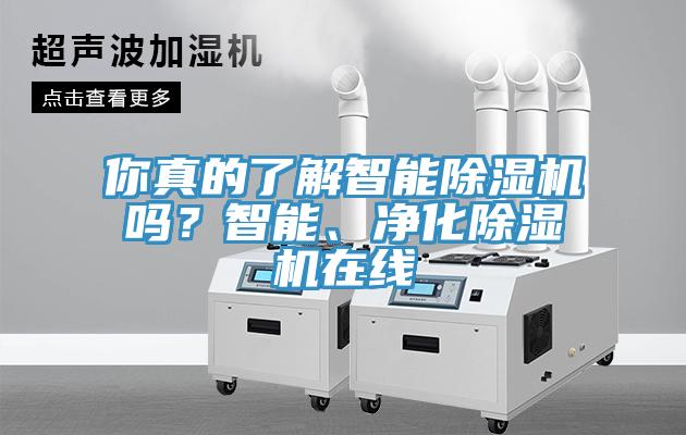 你真的了解智能除濕機(jī)嗎？智能、凈化除濕機(jī)在線