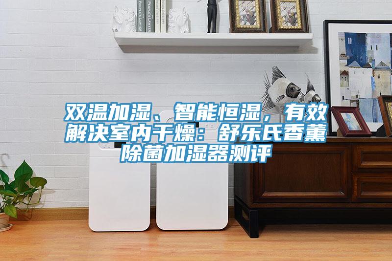 雙溫加濕、智能恒濕，有效解決室內(nèi)干燥：舒樂氏香薰除菌加濕器測評