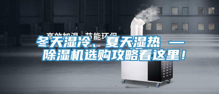 冬天濕冷、夏天濕熱 — 除濕機選購攻略看這里！