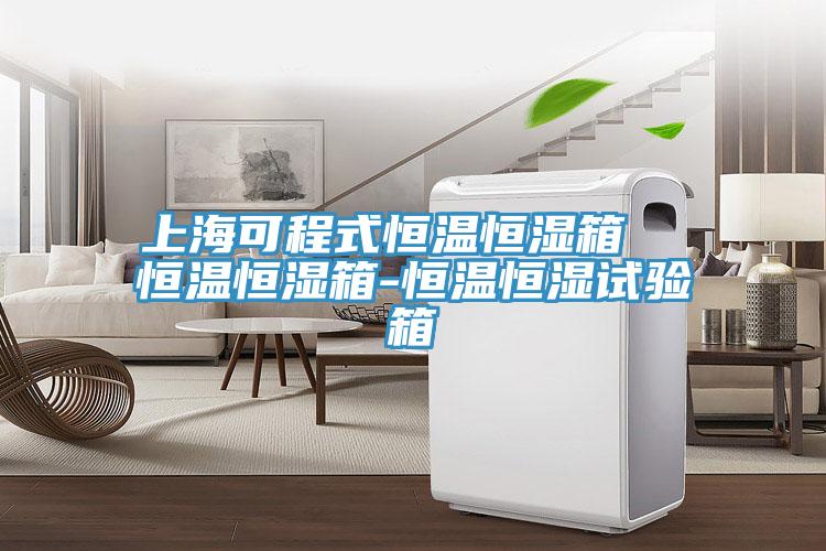 上?？沙淌胶銣睾銤裣? 恒溫恒濕箱-恒溫恒濕試驗(yàn)箱