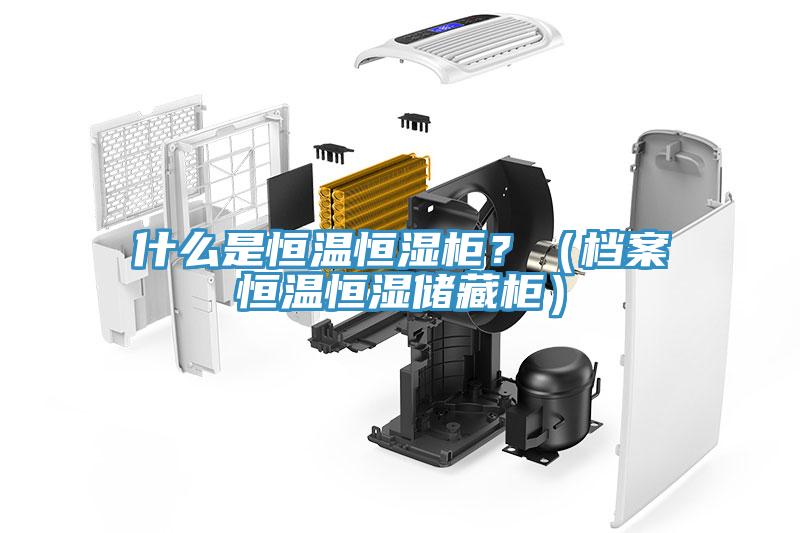 什么是恒溫恒濕柜？（檔案恒溫恒濕儲藏柜）
