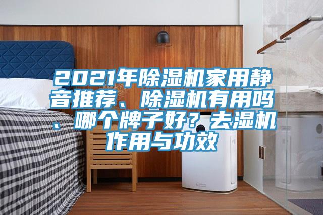 2021年除濕機(jī)家用靜音推薦、除濕機(jī)有用嗎、哪個(gè)牌子好？去濕機(jī)作用與功效