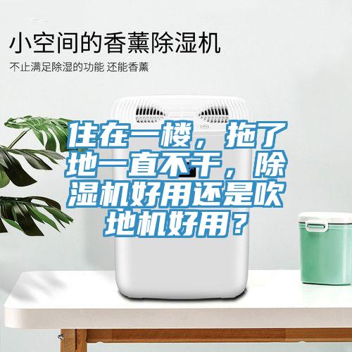 住在一樓，拖了地一直不干，除濕機好用還是吹地機好用？