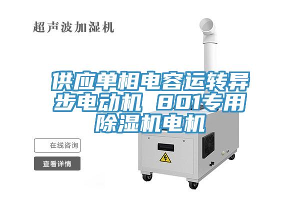 供應(yīng)單相電容運(yùn)轉(zhuǎn)異步電動(dòng)機(jī) 801專(zhuān)用除濕機(jī)電機(jī)