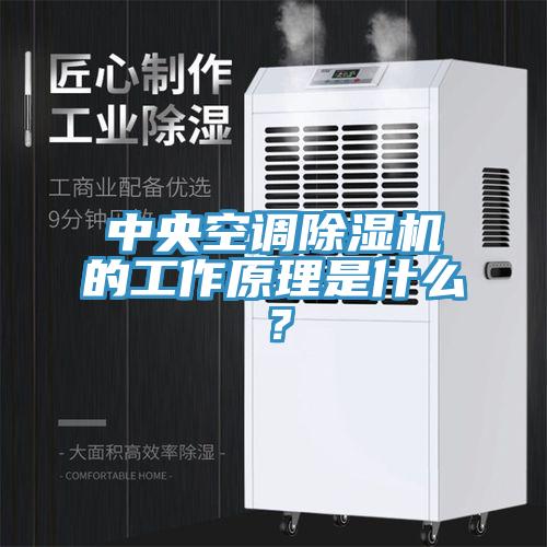 中央空調(diào)除濕機(jī)的工作原理是什么？