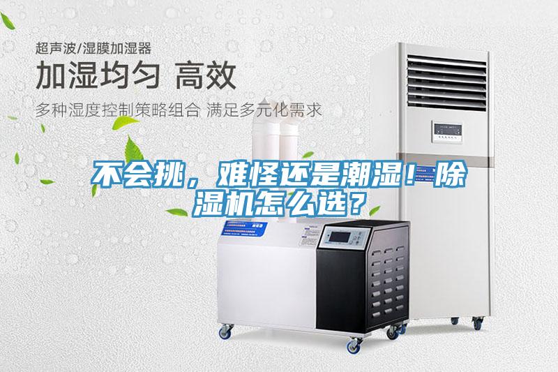 不會挑，難怪還是潮濕！除濕機怎么選？
