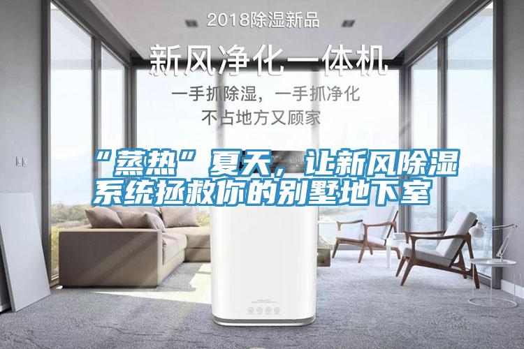 “蒸熱”夏天，讓新風(fēng)除濕系統(tǒng)拯救你的別墅地下室