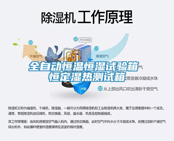 全自動(dòng)恒溫恒濕試驗(yàn)箱 恒定濕熱測試箱