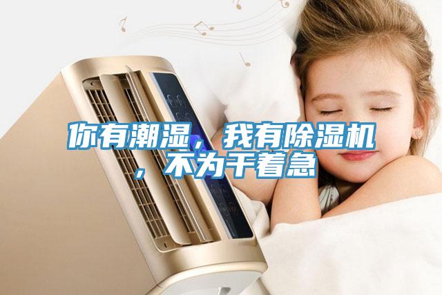你有潮濕，我有除濕機(jī)，不為干著急