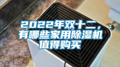 2022年雙十二，有哪些家用除濕機(jī)值得購買