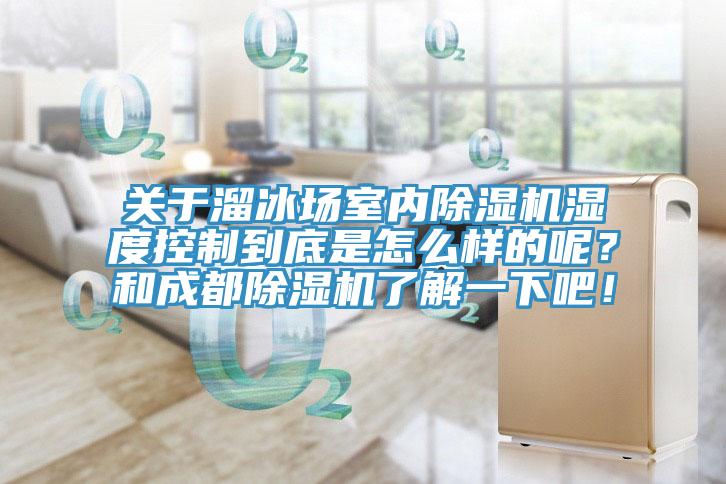 關(guān)于溜冰場室內(nèi)除濕機(jī)濕度控制到底是怎么樣的呢？和成都除濕機(jī)了解一下吧！