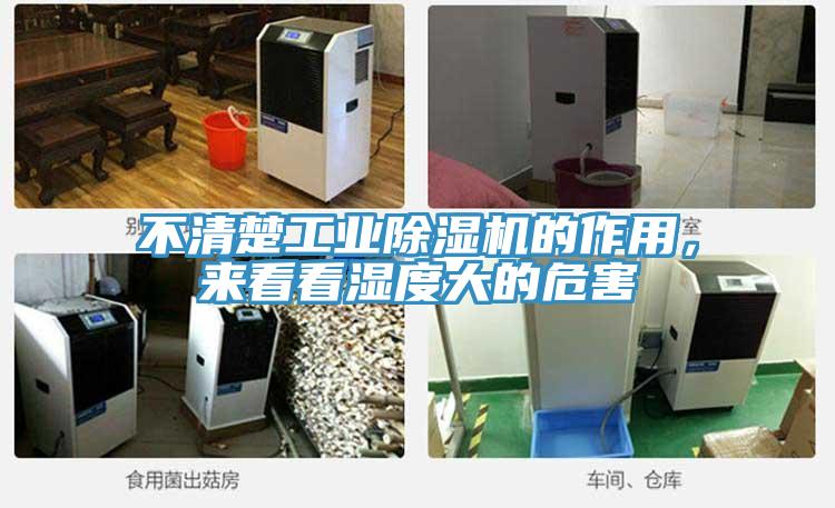 不清楚工業(yè)除濕機的作用，來看看濕度大的危害