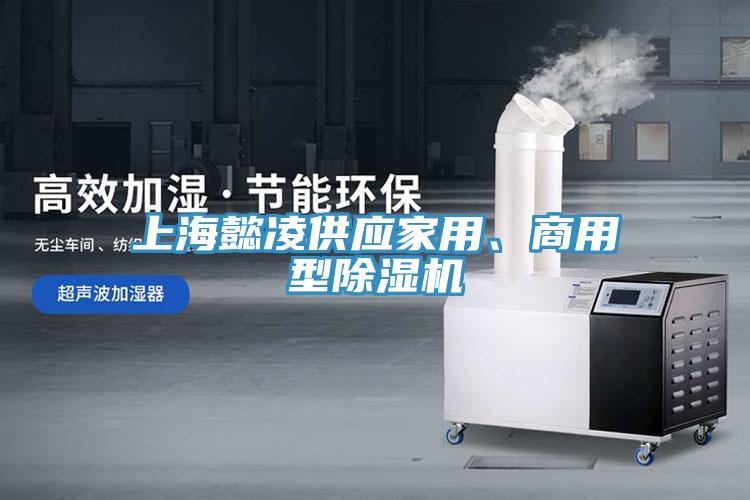 上海懿凌供應(yīng)家用、商用型除濕機(jī)