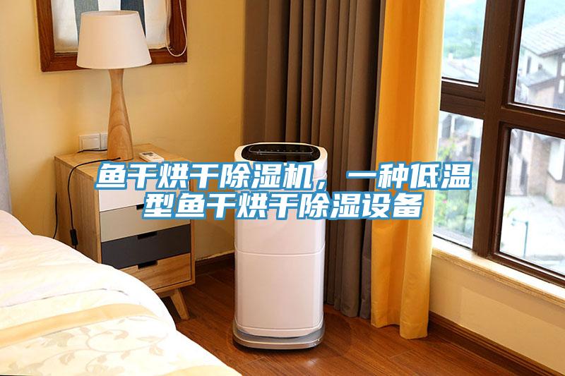 魚干烘干除濕機，一種低溫型魚干烘干除濕設(shè)備