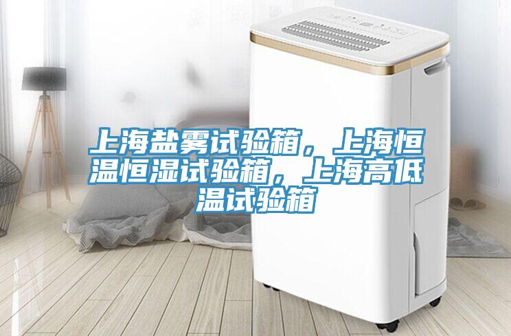 上海鹽霧試驗(yàn)箱，上海恒溫恒濕試驗(yàn)箱，上海高低溫試驗(yàn)箱