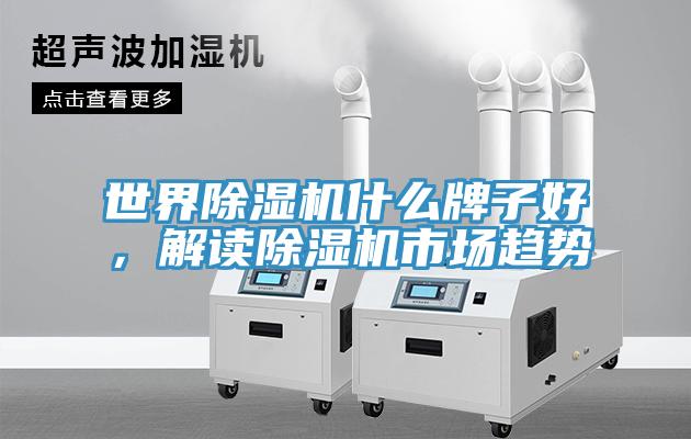 世界除濕機什么牌子好，解讀除濕機市場趨勢