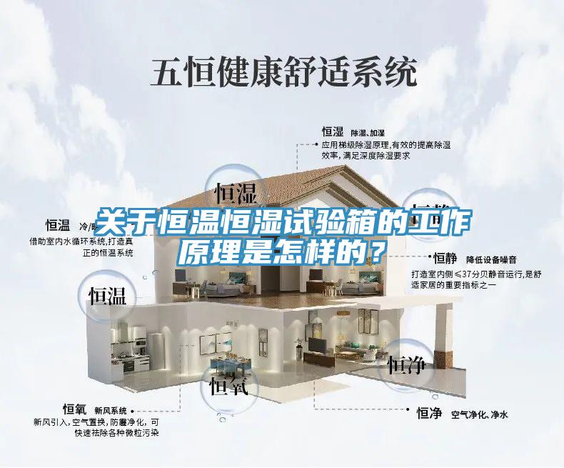 關(guān)于恒溫恒濕試驗(yàn)箱的工作原理是怎樣的？