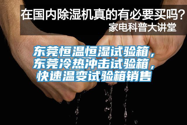 東莞恒溫恒濕試驗箱，東莞冷熱沖擊試驗箱，快速溫變試驗箱銷售