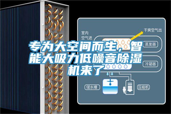 專為大空間而生，智能大吸力低噪音除濕機來了