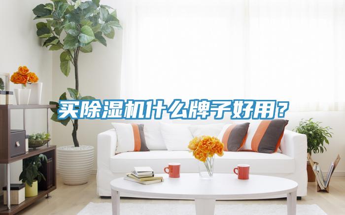 買除濕機(jī)什么牌子好用？
