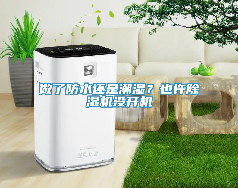 做了防水還是潮濕？也許除濕機沒開機