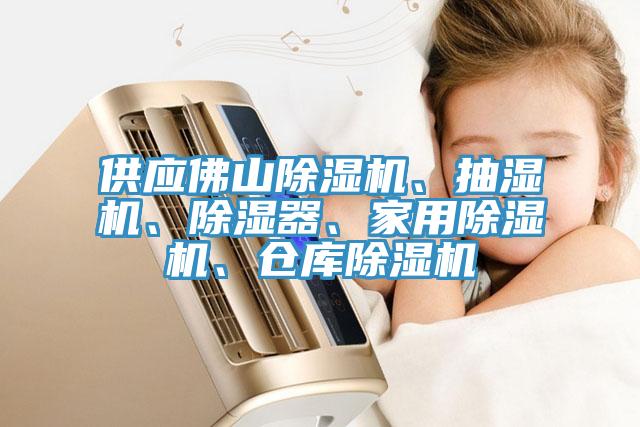 供應(yīng)佛山除濕機(jī)、抽濕機(jī)、除濕器、家用除濕機(jī)、倉(cāng)庫(kù)除濕機(jī)