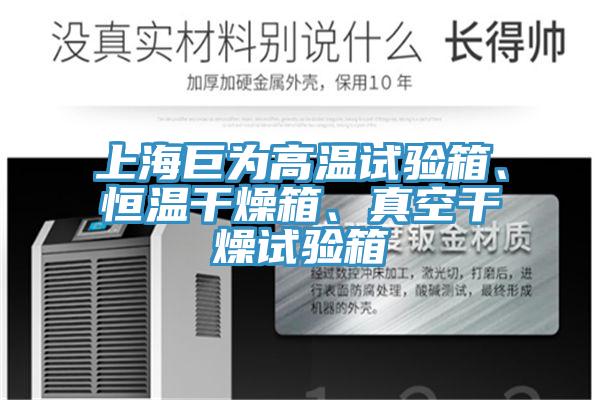 上海巨為高溫試驗箱、恒溫干燥箱、真空干燥試驗箱