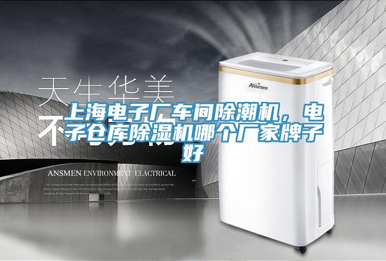 上海電子廠車(chē)間除潮機(jī)，電子倉(cāng)庫(kù)除濕機(jī)哪個(gè)廠家牌子好