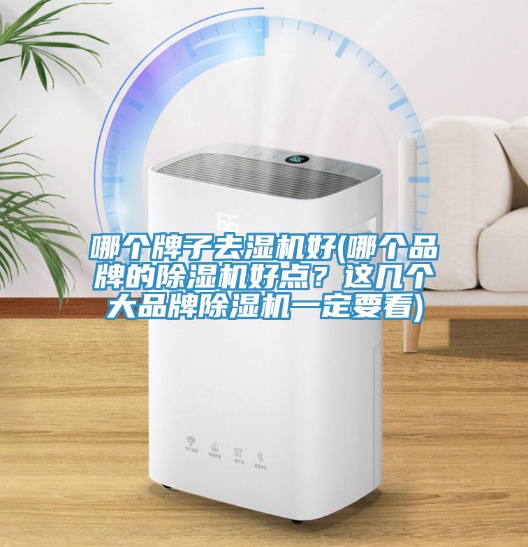 哪個牌子去濕機好(哪個品牌的除濕機好點？這幾個大品牌除濕機一定要看)