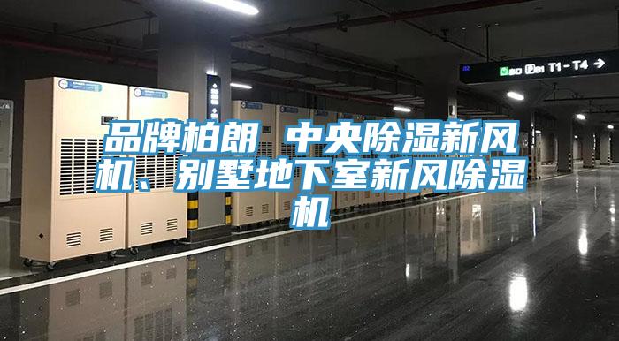 品牌柏朗 中央除濕新風(fēng)機(jī)、別墅地下室新風(fēng)除濕機(jī)