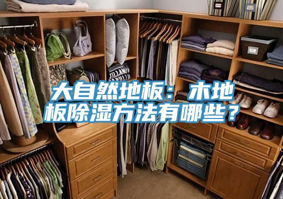 大自然地板：木地板除濕方法有哪些？