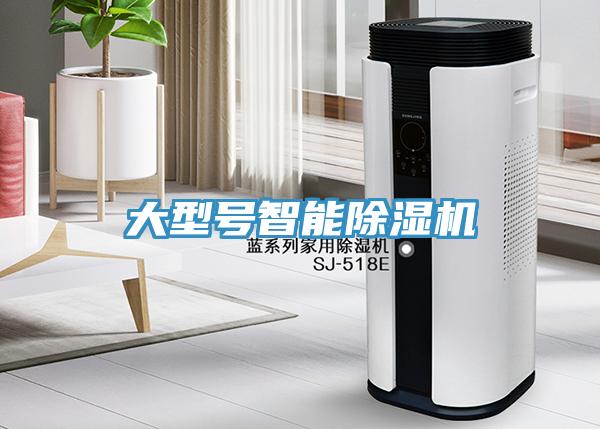 大型號智能除濕機(jī)
