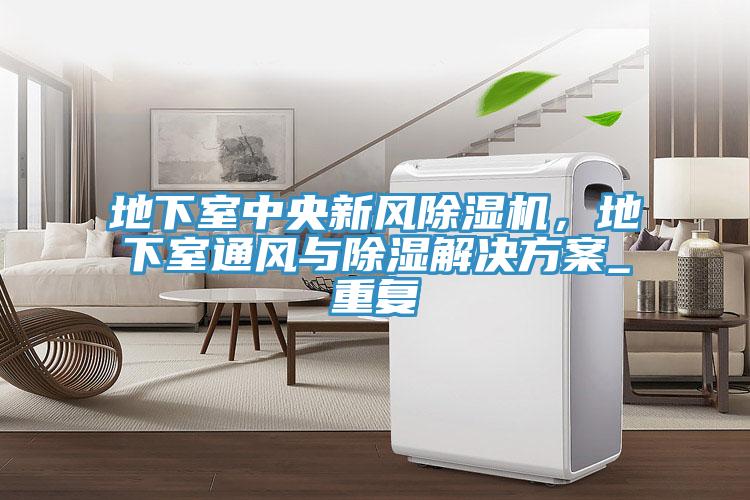 地下室中央新風(fēng)除濕機(jī)，地下室通風(fēng)與除濕解決方案_重復(fù)