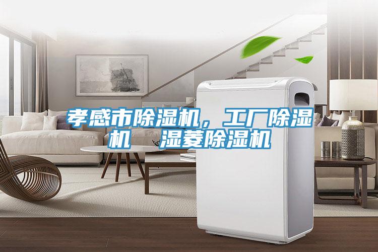 孝感市除濕機(jī)，工廠除濕機(jī)  濕菱除濕機(jī)