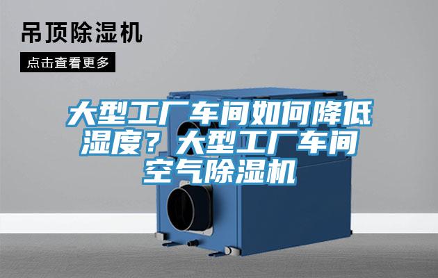 大型工廠車(chē)間如何降低濕度？大型工廠車(chē)間空氣除濕機(jī)