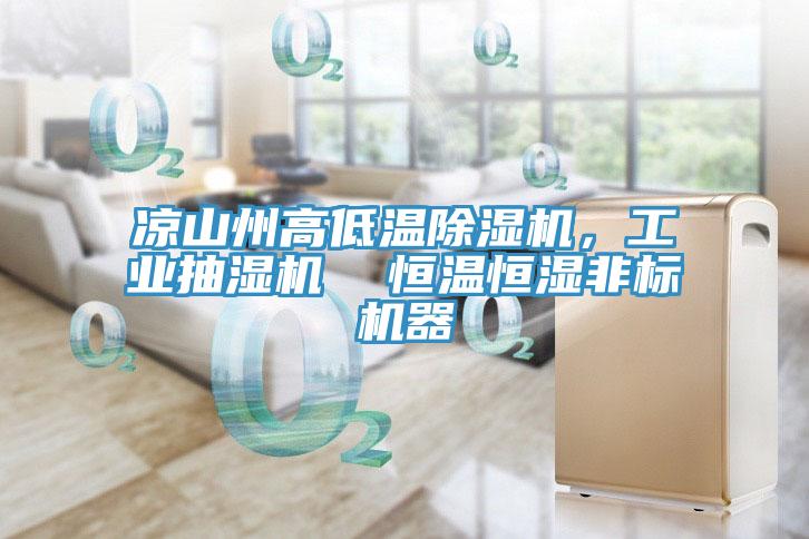 涼山州高低溫除濕機(jī)，工業(yè)抽濕機(jī)  恒溫恒濕非標(biāo)機(jī)器