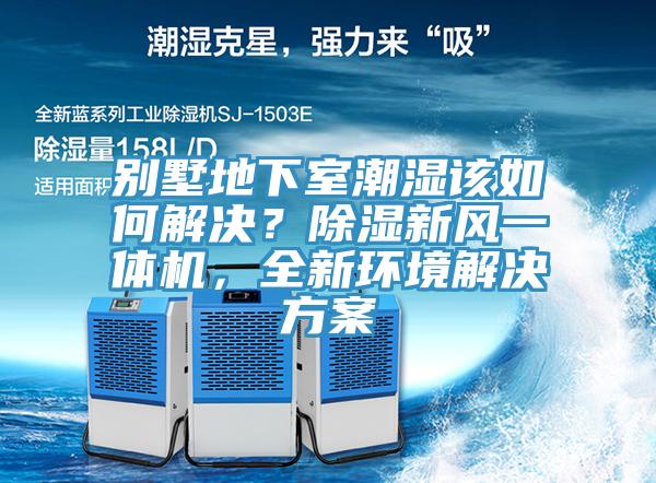 別墅地下室潮濕該如何解決？除濕新風(fēng)一體機(jī)，全新環(huán)境解決方案