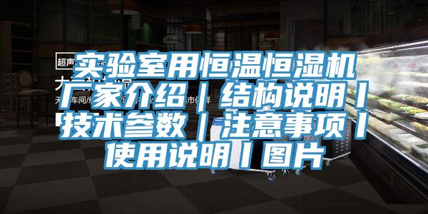 實驗室用恒溫恒濕機(jī)廠家介紹｜結(jié)構(gòu)說明丨技術(shù)參數(shù)｜注意事項丨使用說明丨圖片