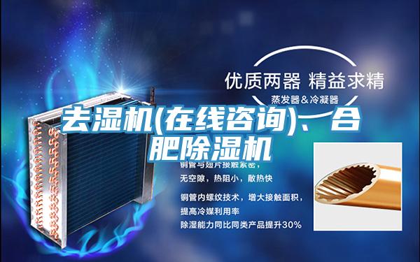 去濕機(jī)(在線咨詢)、合肥除濕機(jī)