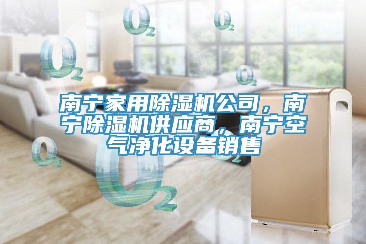 南寧家用除濕機公司，南寧除濕機供應(yīng)商，南寧空氣凈化設(shè)備銷售