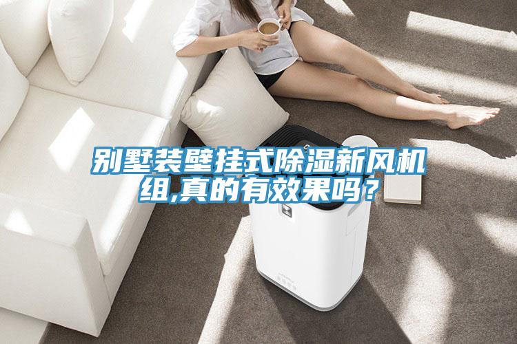 別墅裝壁掛式除濕新風(fēng)機(jī)組,真的有效果嗎？